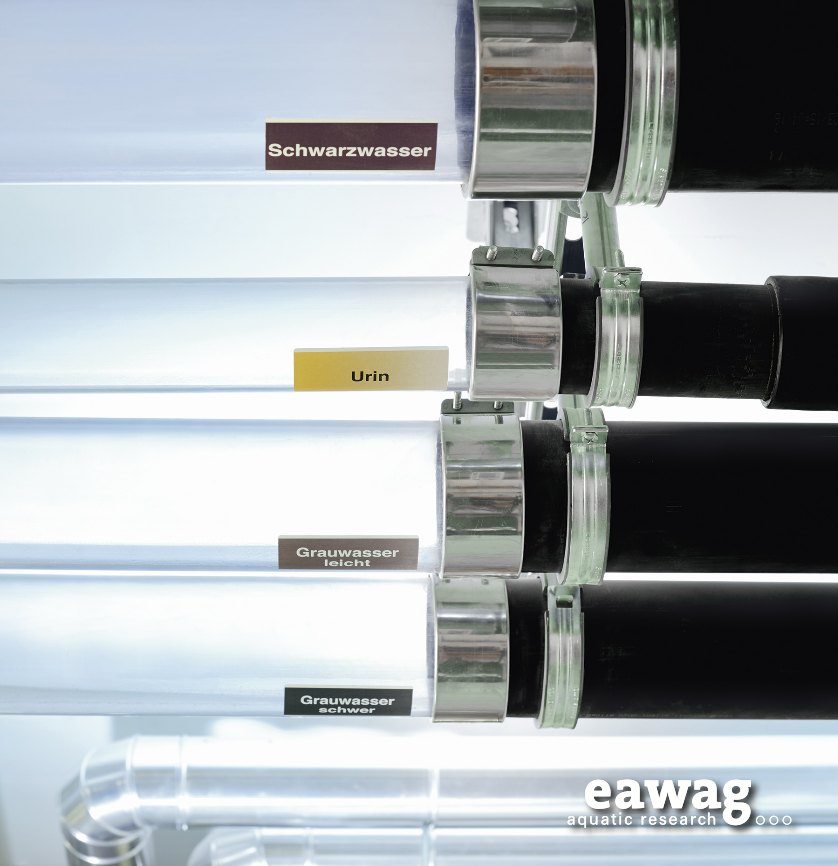 Letzte Chance, um sich für den PEAK-Kurs im Januar anzumelden!