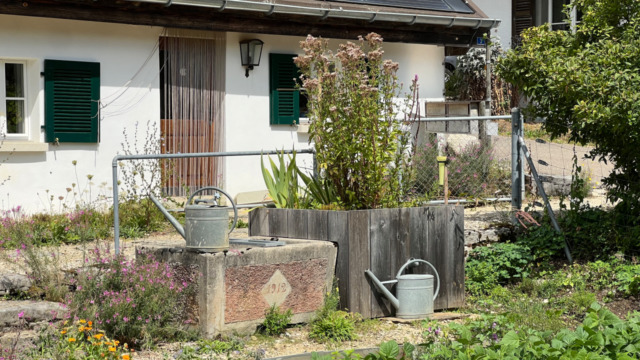 Offenes Gartenfenster